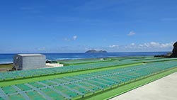 (圖八) 檢整後蘭嶼貯存場恢復原先靜態貯存狀態