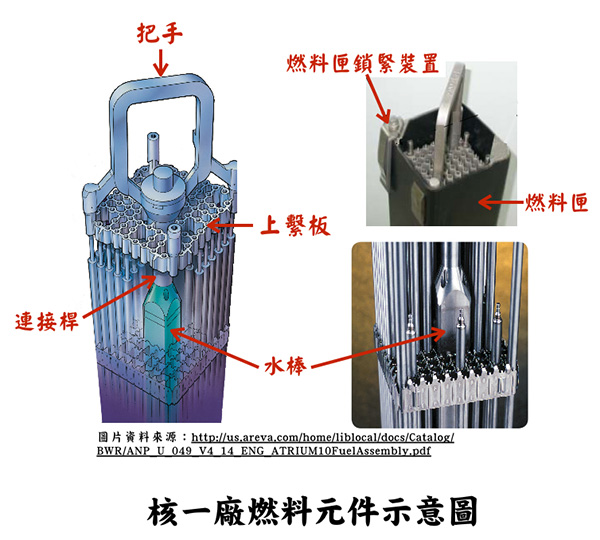 核一廠燃料元件示意圖