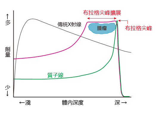 什麼是粒子治療